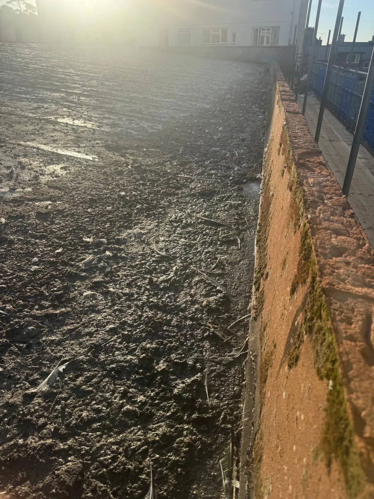 Close-up of bird fouling on roof surface requiring sanitisation