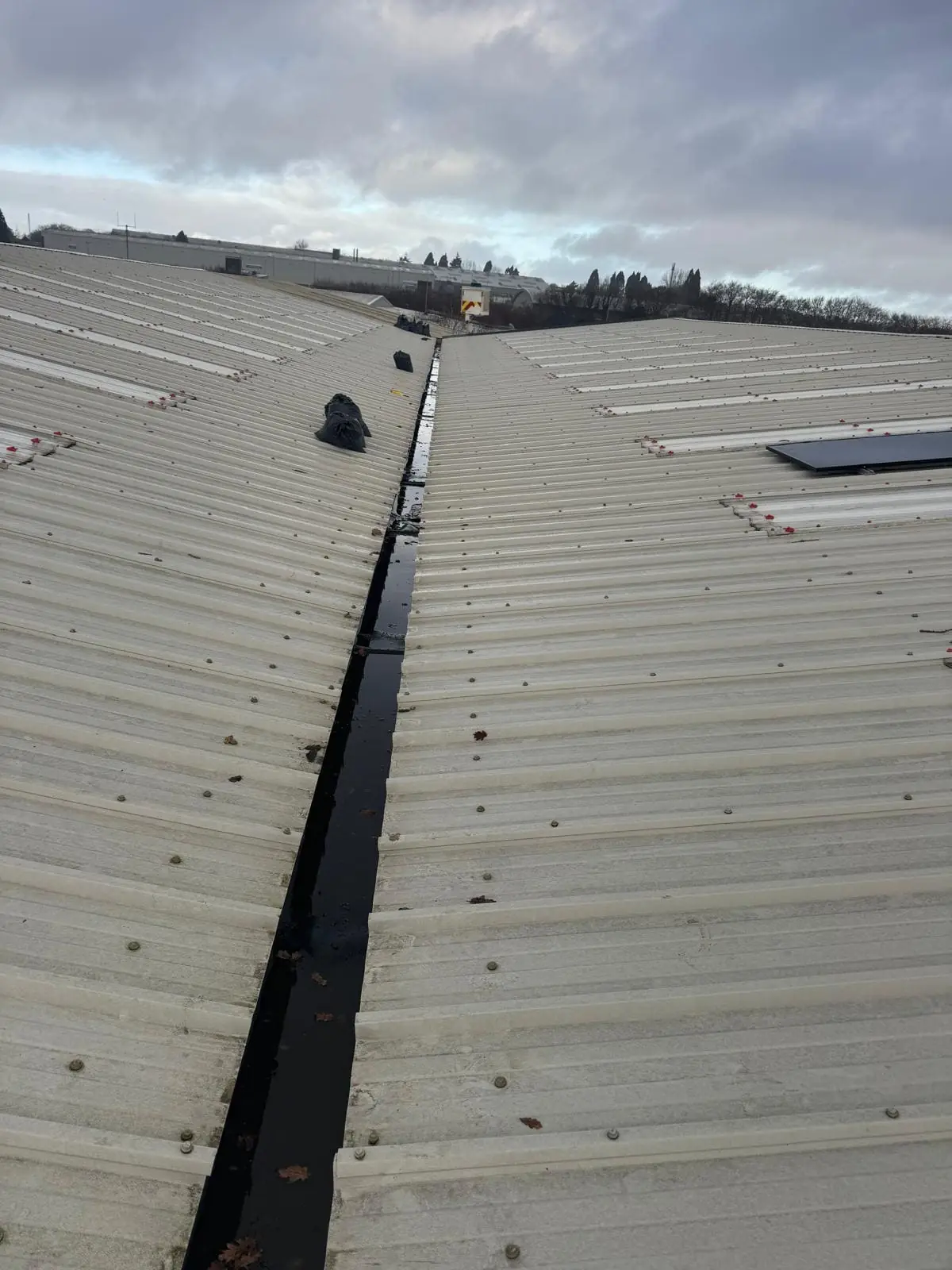 Commercial building gutter blocked with debris