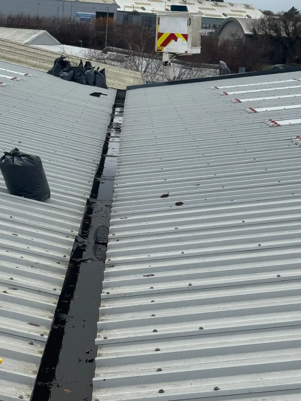 Wide view of commercial gutters after professional cleaning