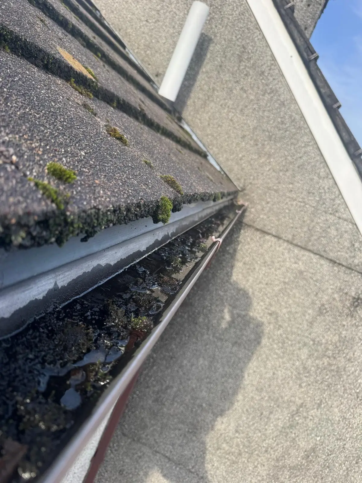 Blocked gutter overflowing with leaves and debris