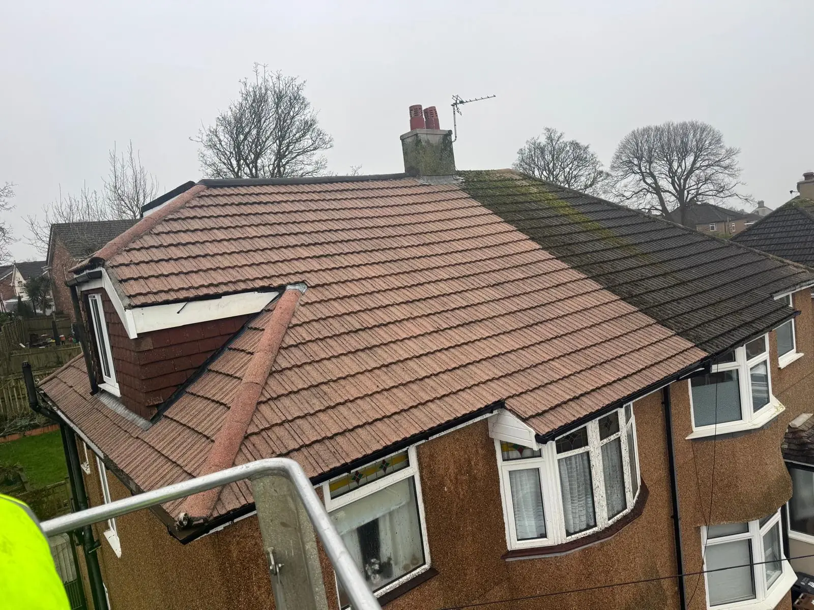 Residential roof restored to clean condition after professional treatment